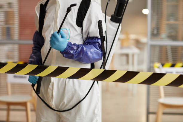 Professional Sewage Cleanup technician working in Dunkirk, MD